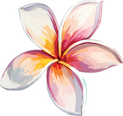 Wall Mural - Paradise flower plumeria vector hand drawing. Tropical flower, exotic plant. Bright plant