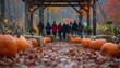 a group of people are walking through a pumpkin patch