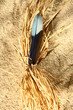 A feather is tied to a bundle of straw on a sandy beach