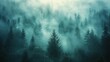 A minimalist photograph capturing a misty forest, where tall trees fade into the fog