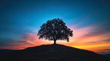 A Striking Silhouette Of A Lone Tree On A Hill At Sunset.