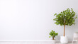 White wall with green plants in pots on the floor near it in a bright interior, 3d render