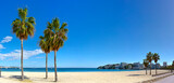 Fototapeta Sypialnia - Trio of Palm Trees on Palma Nova Beach with a View of the Calm Mediterranean Sea