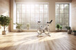 Bright and airy home gym with large windows and a variety of plants.