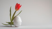 Boiled Egg And Tulip On A White Background.