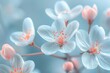 A close-up macro of small white flowers on a gently toned on background of soft blue and pink. Spring summer border template floral background. Light air delicate artistic image.