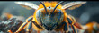Bee extreme closeup honey bee macro isolated on black background,
Close-up of a bee 31 stylize 750 5f02

