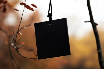 Wall Mural - A black square with a black tag hanging from a tree branch