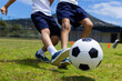 Children in sports attire are playing soccer on a grassy field during the day in school
