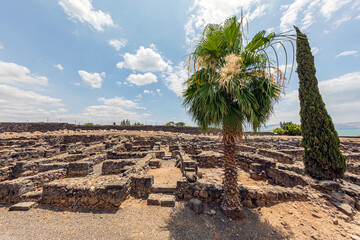 Wall Mural - Capharnaum (The Town of Jesus), Israel