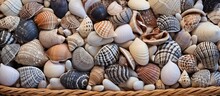 A Basket Filled With A Diverse Array Of Brown, Grey, And White Sea Shells, Showcasing Different Shapes, Sizes, And Textures. The Shells Are Neatly Arranged In The Wicker Woven Basket.
