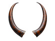 a pair of horns separated on a white background, displaying intricate details, age markings, and defense
