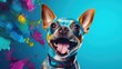 Portrait of a happy, cheerful dog on a blue background. A pet.