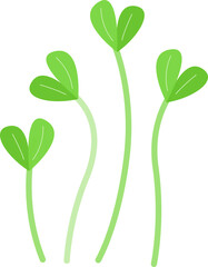 Wall Mural - Microgreen Plants Illustration