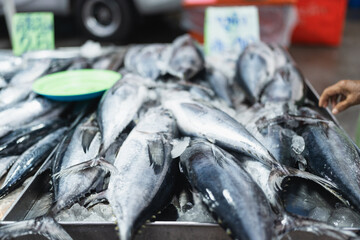 Wall Mural - Fresh seafood variety fish sell in traditional asian market