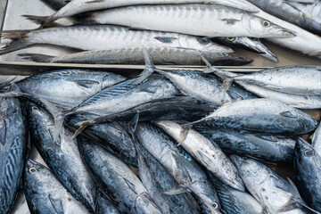 Wall Mural - Fresh seafood variety fish sell in traditional asian market