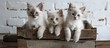 Three adorable kittens with heterochromatic eyes sitting inside a wooden crate. The kittens are fluffy and look curious as they explore their surroundings. The wooden crate is sturdy and provides a
