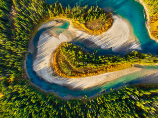 Wall Mural - a drone view of the river in the forest. an aerial view of an forest. winding river among the trees.