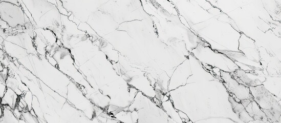 Wall Mural - A detailed close-up view showcasing the intricate patterns and textures of premium Carrara White marble. This high-quality marble is commonly used for ceramic tile inkjet in kitchen or bathroom