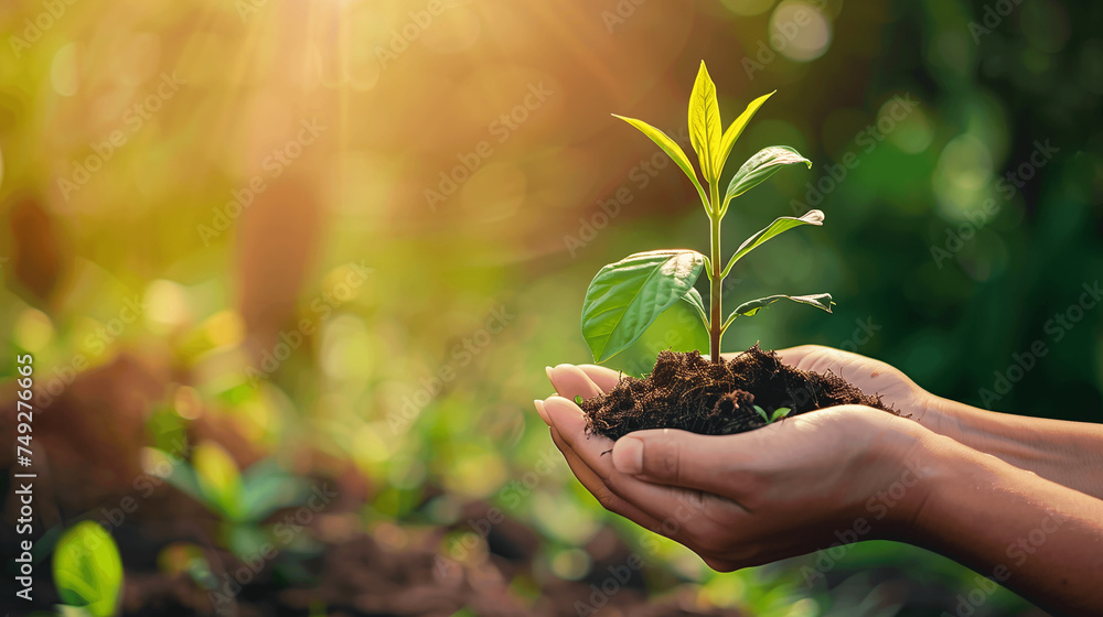 Hand holding young plant on blur green nature background. concept eco ...