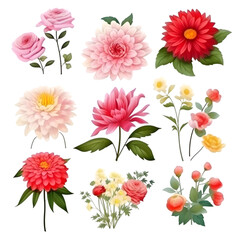 PNG Set of floral branch watercolor elements