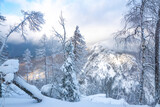 Fototapeta Dmuchawce - A trip to Bashkortostan, a walk through the snowy Ural Mountains on a frosty winter day.