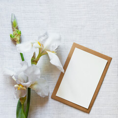 Wall Mural - sheet blank paper in an envelope with a iris flowers on white textile background. Copy space, flat lay, top view, mockup