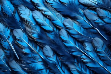 Poster - Blue feathers randomly on a blue background close up, flat lay, blue minimalism