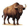 African cape buffalo,wild animal of Africa, vector illustration