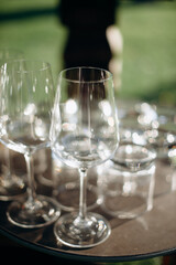 Wall Mural - Many empty champagne or wine glasses sparkle in the sun. Preparation for a reception or holiday, a container for alcoholic beverages. Restaurant, catering, service