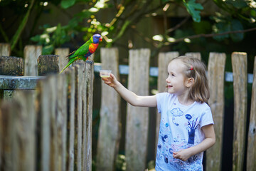 Wall Mural - Adorable preschooler girl feeding parrot in zoo