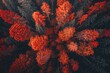 temperate deciduous forest, Autumn forest orange red ancient forest and pine carpet oak beech maple tree willow mysterious colorful leaves trees nature changing seasons landscape Top view background