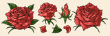 Fototapeta Kosmos - Roses colorful set vintage emblems