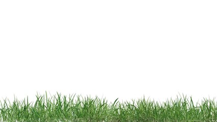 Aufkleber - medow field footage on white background, 3d illustration rendering	