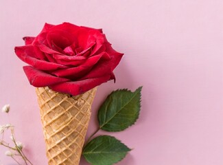 Wall Mural - Red rose in ice cream cone. Creative love background.