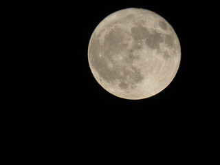 Wall Mural - full moon seen with telescope
