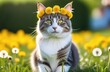 cat with a wreath of dandelions on his head sitting on the grass sunny summer day