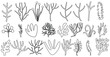 Set corals seaweed silhouette marine plant elements isolated vector decorative elements isolated illustration on white background icons and stamp