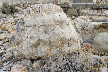 Wall Mural - Lion statue near the Commagene King Antiochus I tomb on the top of Mount Nemrut, Adiyaman province, Turkey