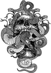 Wall Mural - Tattoo art skull and snake hand drawing and sketch