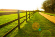 Sun glare seen streaming through a wooden fence adjacent to an arable field. Seen next to an empty rural road.
