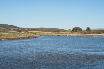 views of the inside of the Diaccia Botrona Natural Reserve, Castiglione della Pescaia, Grosseto, Tuscay, Italy