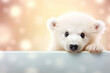 Polar bear peeking over pastel bright background. Banner, poster or card for International polar bear day. Copy space.