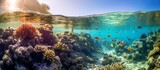 Fototapeta Do akwarium - illustration of a shallow underwater view accompanied by exotic small fish and colorful coral reefs