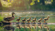 Line of ducks waddling along the bank of a serene lake, Fluffy ducklings following their mother, Orderly and cute procession