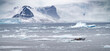 Boat tours Antarctica icebergs