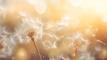 Abstract Blurred Nature Background Dandelion Seeds Parachute