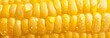 Corn fresh. Close up