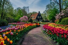 Dutch Home With Flowers