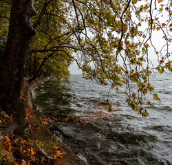 Canvas Print - river in autumn